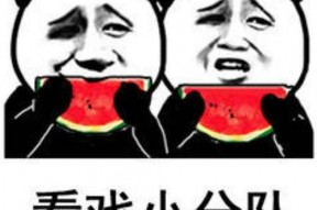 吃瓜表情高情商回复句子,轻松应对社交场合